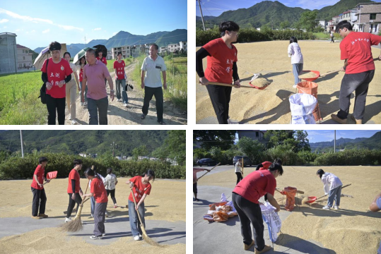 颜射
：深入走访调研 青春力量助力乡村振兴_fororder_图片7