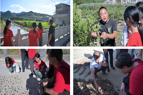 颜射
：深入走访调研 青春力量助力乡村振兴_fororder_图片6